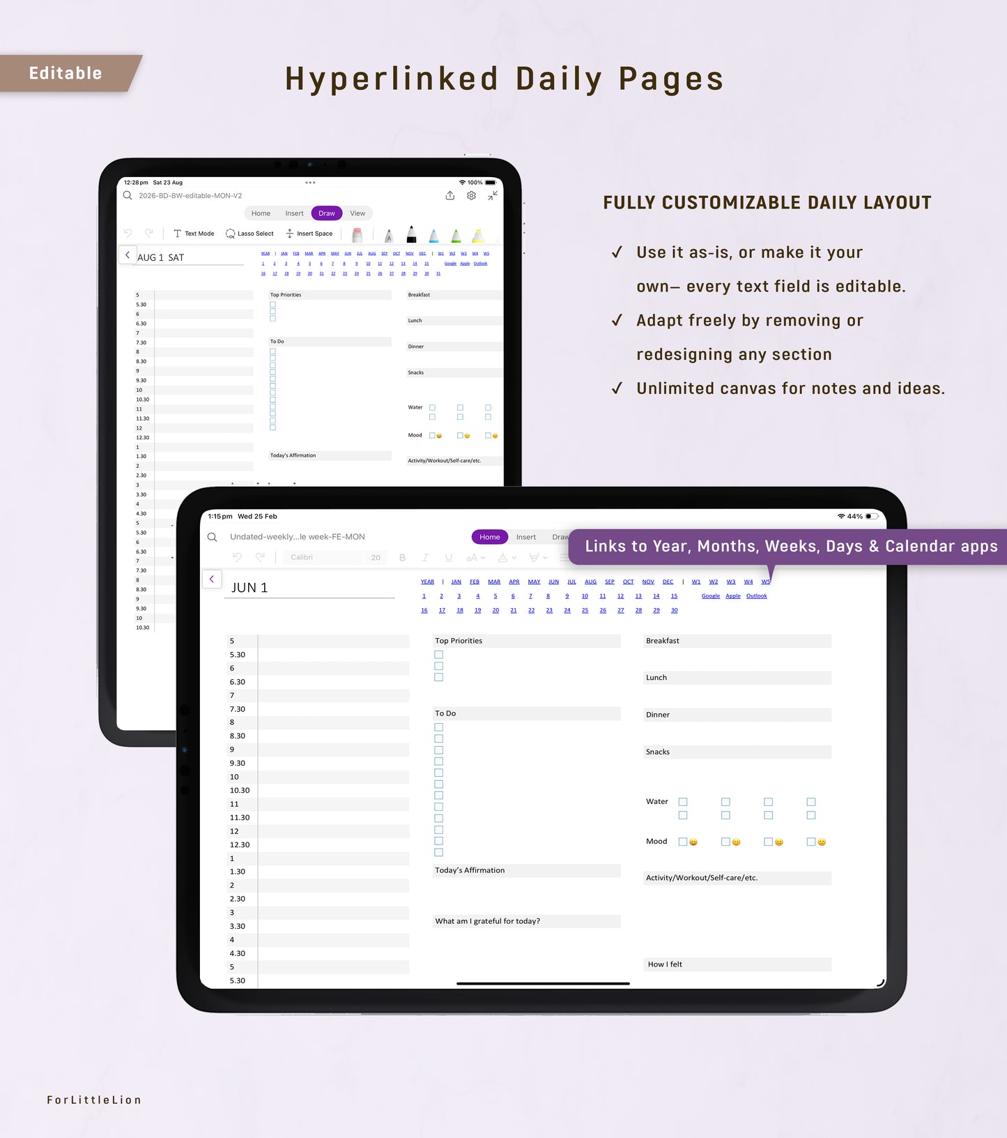 UNDATED Ultimate OneNote Planner  | Light & Dark Mode | Editable Edition